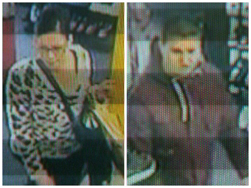 JD sports theft appeal Cwmbran