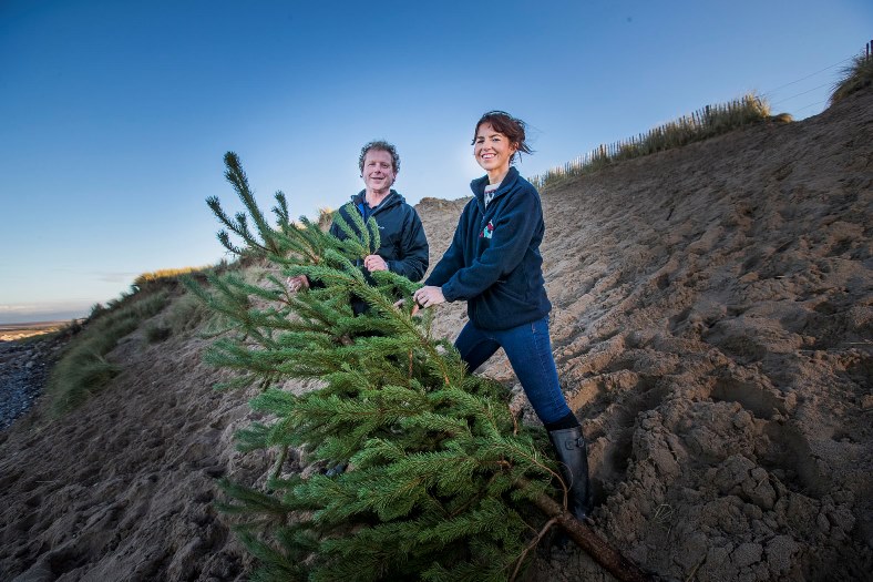 St Kentigern Hospice and Denbighshire County Council are urging people to donate their Christmas trees once they've finished with them this year and they're going to be used to reinforce the sand dunes on the north wales Gary Davies from Countryside Services is pictured with Laura Parry (hospice fundraising manager