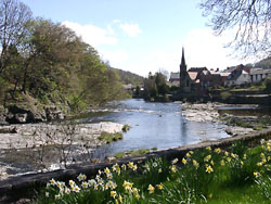 Llangollen River in spring    