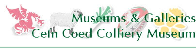 Museums & Galleries
Cefn Coed Colliery Museum