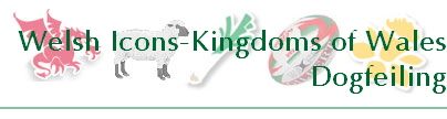 Welsh Icons-Kingdoms of Wales
Dogfeiling