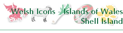 Welsh Icons - Islands of Wales
Shell Island