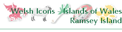Welsh Icons - Islands of Wales
Ramsey Island