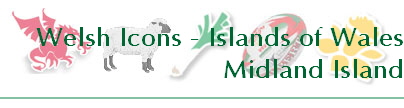 Welsh Icons - Islands of Wales
Midland Island