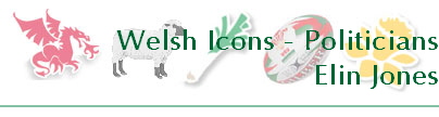 Welsh Icons - Politicians
Elin Jones
