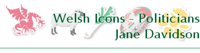 Welsh Icons - Politicians
Jane Davidson