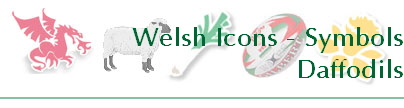 Welsh Icons - Symbols
Daffodils