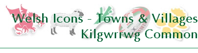 Welsh Icons - Towns & Villages
Kilgwrrwg Common