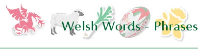 Welsh Words - Phrases