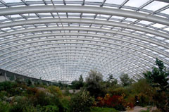 The Great Glasshouse is a spectacular dome and is the largest single span glasshouse in the world