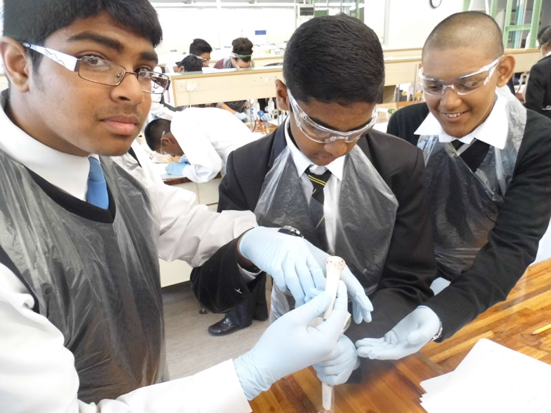 High school students (boys) from Durban learning about solar energy