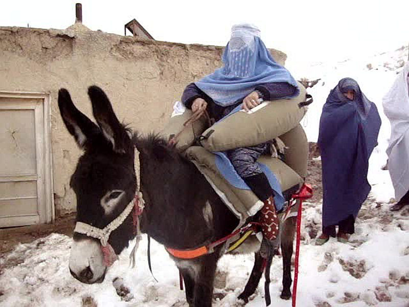 Donkey Ambulance or Maternity Saddle In Afghanistan February 2013 donkey technology dot com 1 (1)